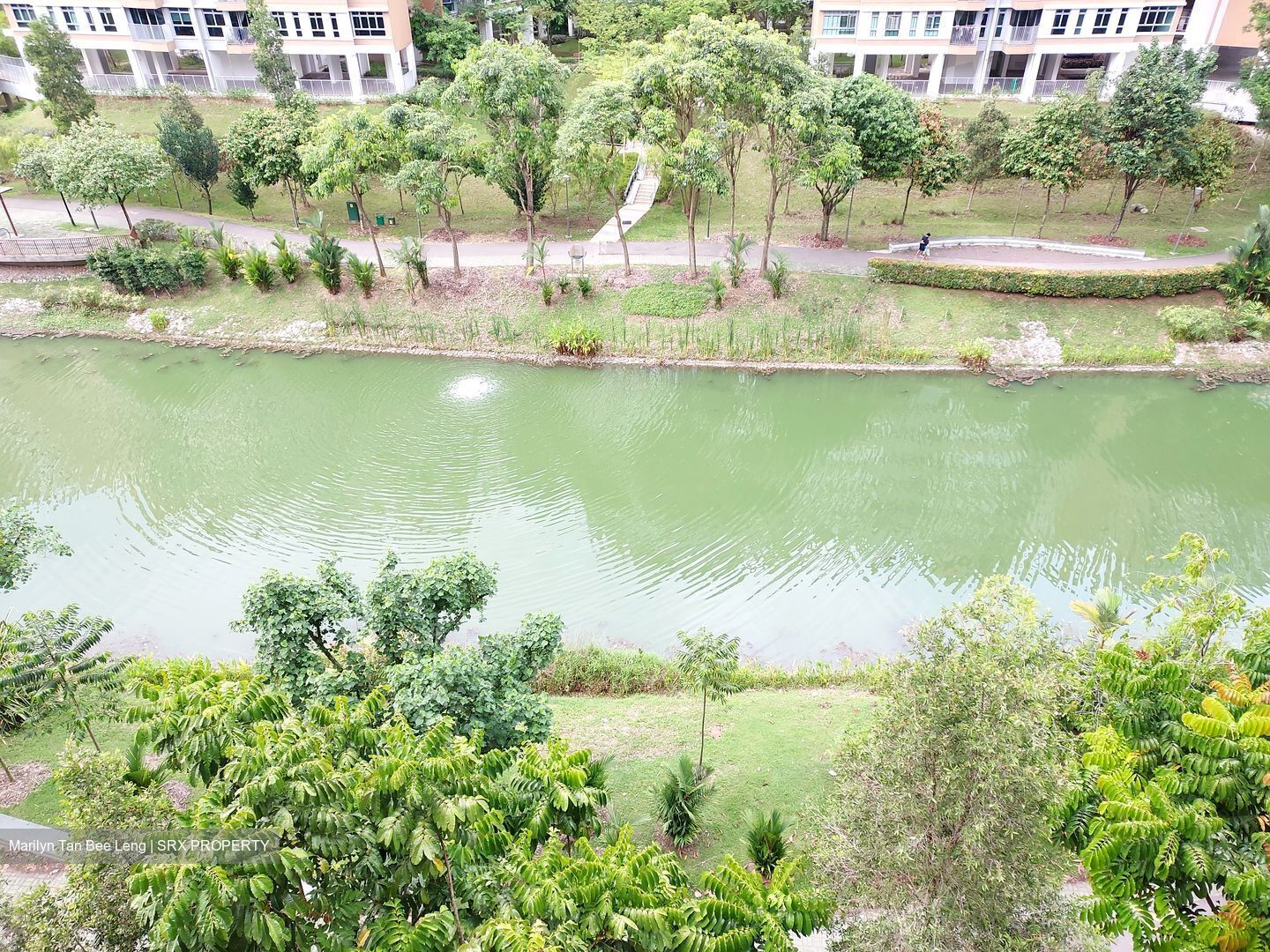 Punggol Drive (Punggol),  #402100521